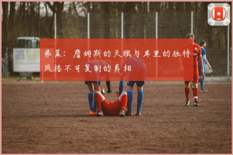 弗莱：詹姆斯的天赋与库里的独特风格不可复制的真相